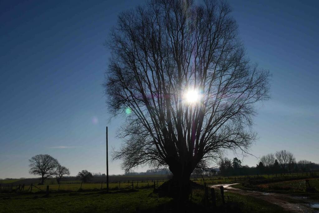 Gite L 'Ecurie A La Campagne Flines-Les-Mortagne المظهر الخارجي الصورة